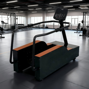 Commercial Balance Training Surf Machine | Functional Core Trainer for Gyms